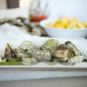 oysterbar-11.jpg
